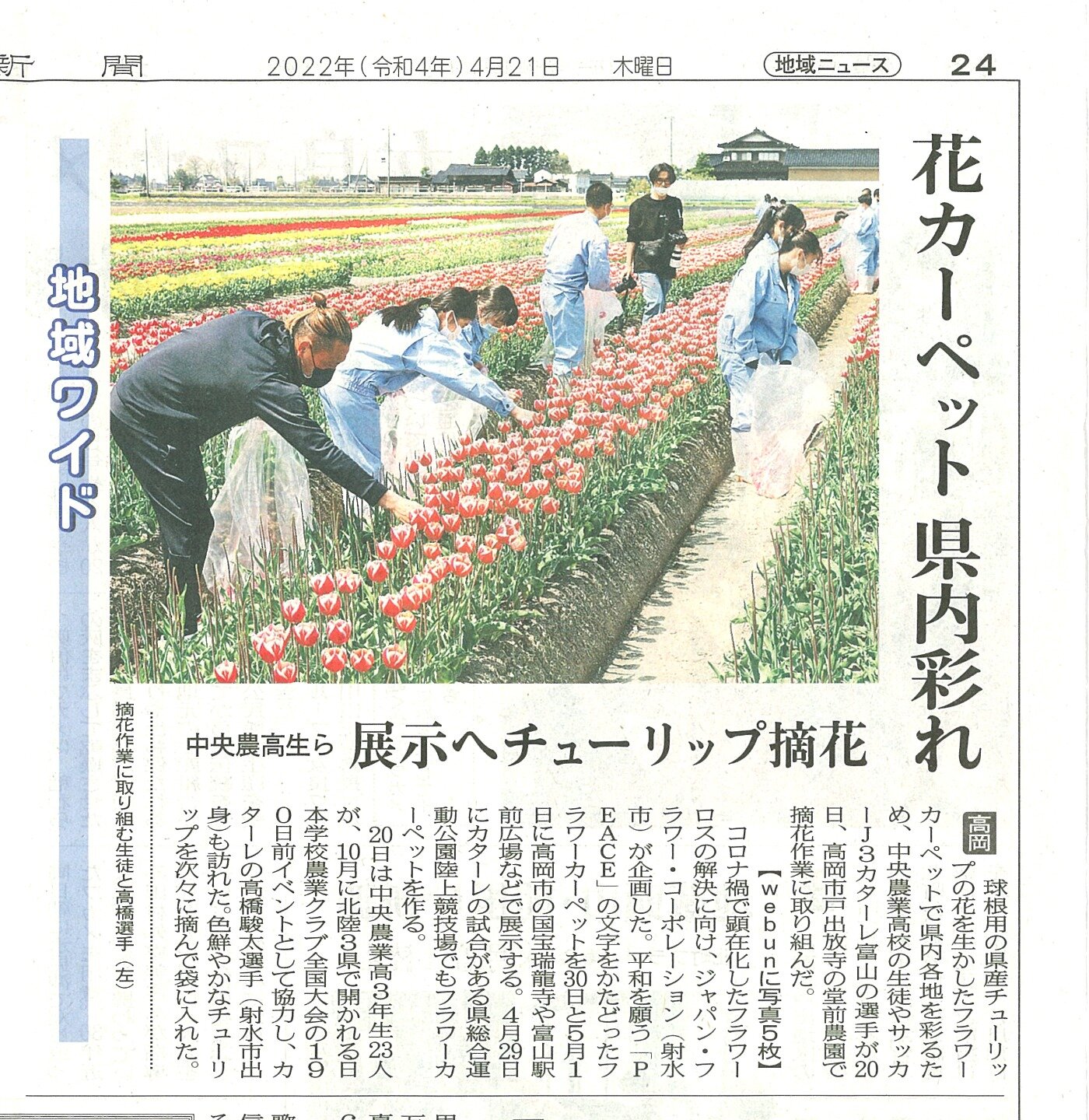 北日本新聞にカターレ富山の高橋選手と中央農業高校の生徒が弊社のフラワーカーペット企画の花摘みをする様子が記載されました（2022年4月21日）