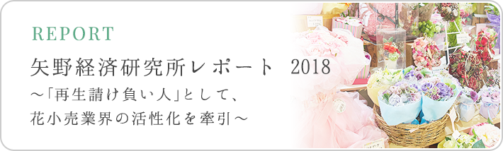 矢野経済研究所レポート 2018